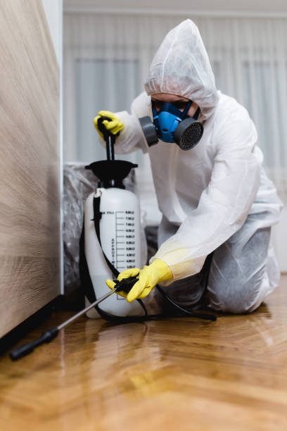 Reliable Big Sandy, TX Pest Control Solutions